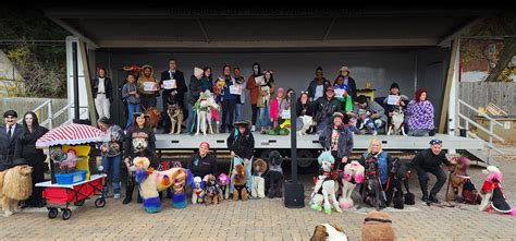 Flurry of furry friends gather for Halloween pet parade at the Loop